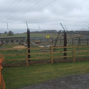 View of Bear enclosure