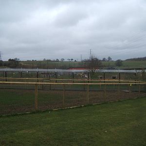 View of Bear enclosure