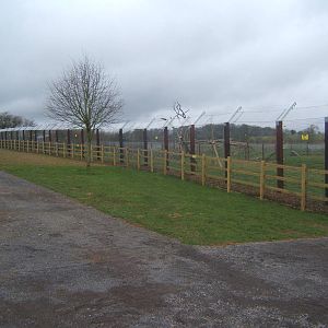 View of Bear enclosure