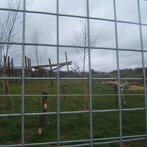 View of Bear enclosure