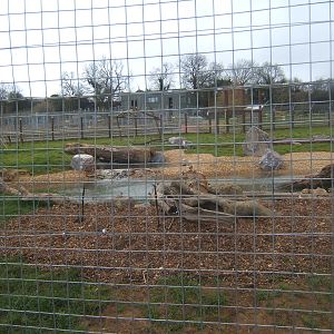 View of Bear enclosure