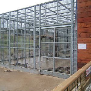 View of Bear enclosure