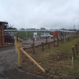 View of Bear enclosure