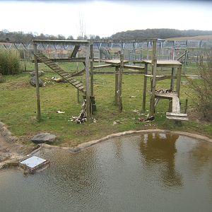 View of Lion enclosure