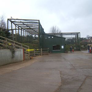 View towards Siamang House and enclosure