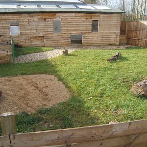 View of Sulcatta enclosure and house