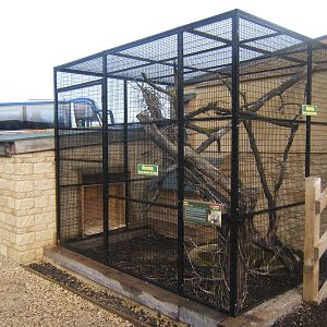 View of house and outdoors for Green Iguana and Red-footed Tortoise