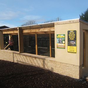 Malayan Water Monitor exhibit