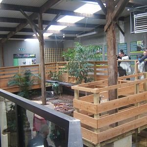 View of South African Nile Crocodile exhibit