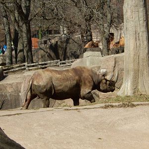 3/11/2016 - Brewster