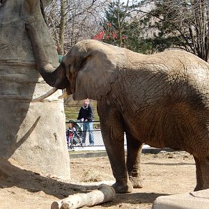 3/11/2016 - Brittany