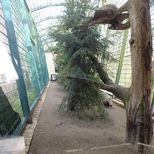 Lynx Enclosure