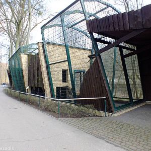 European Wildcat Enclosure