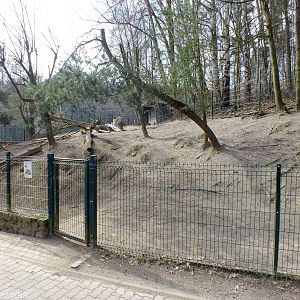 Red-necked Wallaby Enclosure