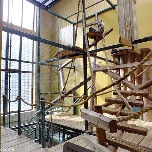 Example Primate Indoors