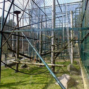 Example Primate Outdoor Enclosure