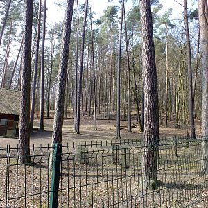 Alfred's Spotted Deer Enclosure