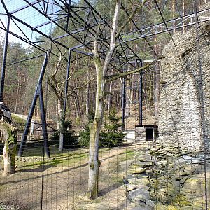 Andean Condor Enclosure