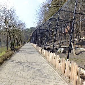 View of the Bird of Prey and Pheasant Aviaries