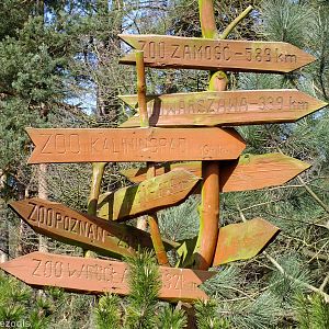 Sign of Nearby Zoos with Direction and Distance