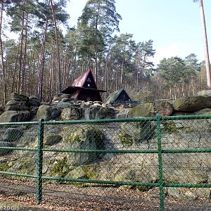 Mishmi Takin Enclosure