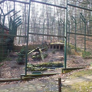 Brown Bear Enclosure
