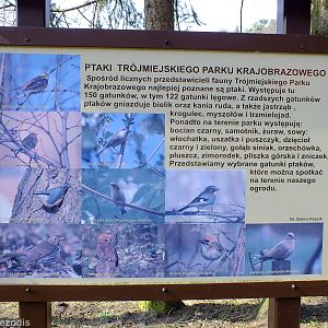Wild Birds Sign