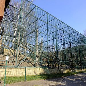 Mandrill Outdoor Enclosure