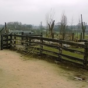 Black Rhino Outdoor Enclosure 02-Apr-16