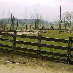 Black Rhino Outdoor Enclosure 02-Apr-16