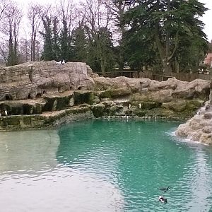 Penguin Pool 02-Apr-16