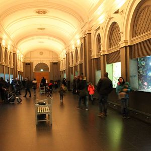 View in one of the Aquarium halls