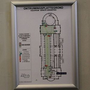 Plan Aquarium - first floor