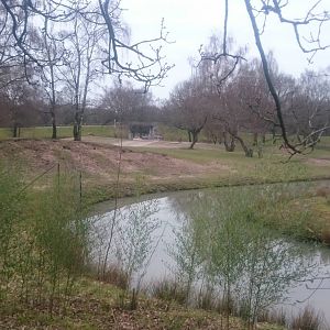 Small part of the Gemsbok-enclosure