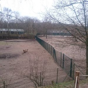 Ostrich and Blue wildebeest enclosures