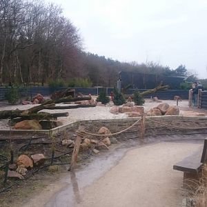 River hog and Mongoose enclosure