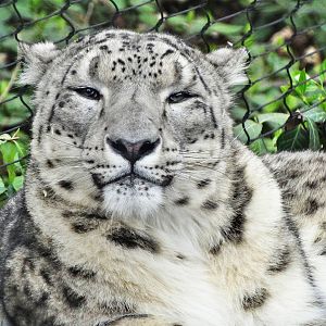 Mar. 2016 - Cat Canyon - Renji