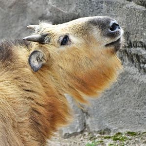 Mar. 2016 - Wildlife Canyon - Dale