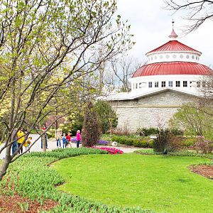 Mar. 2016 - Reptile House