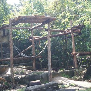Sun bear exhibit: new climbing structure