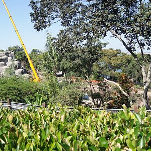 Sumatran Tiger Adventure progress