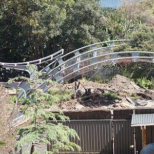 Sumatran Tiger Adventure progress