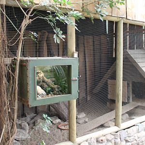 Armadillo enclosure