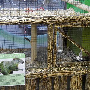 Agouti exhibit