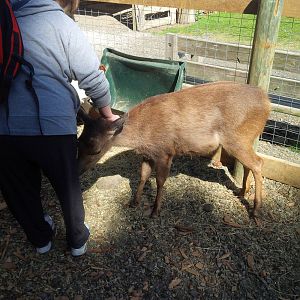 Chesterfield Farm, VIC