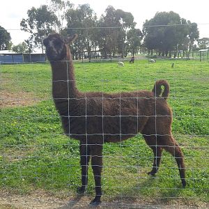 Chesterfield Farm, VIC