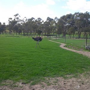 Chesterfield Farm, VIC