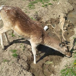 Chesterfield Farm, VIC