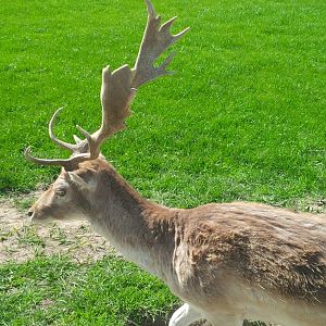 Chesterfield Farm, VIC