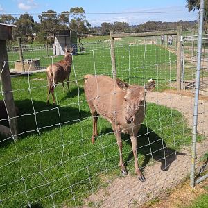 Chesterfield Farm, VIC